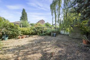 Garden- click for photo gallery